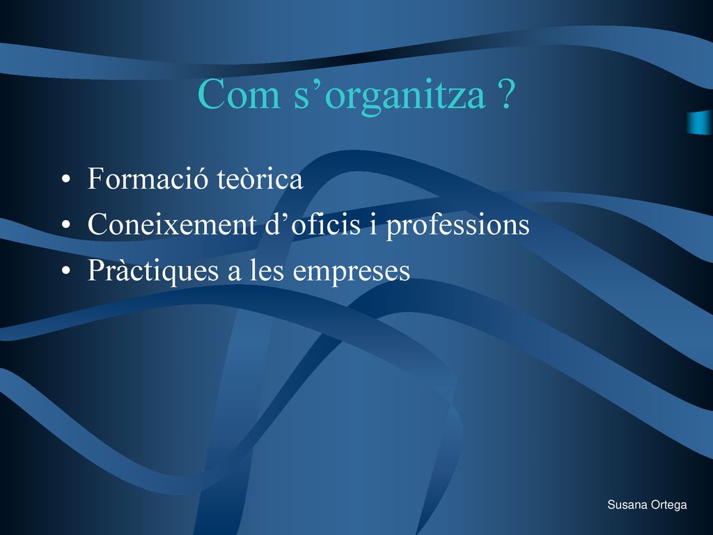 Com s’organitza Formació teòrica Coneixement d’oficis i professions