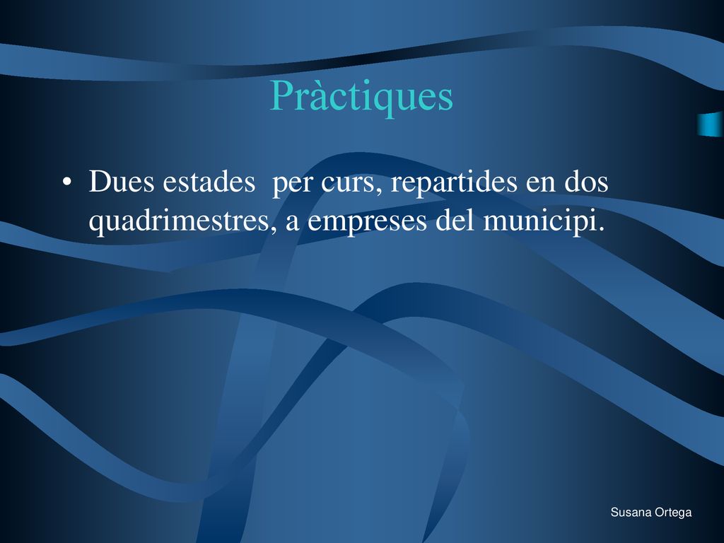 Pràctiques Dues estades per curs, repartides en dos quadrimestres, a empreses del municipi.