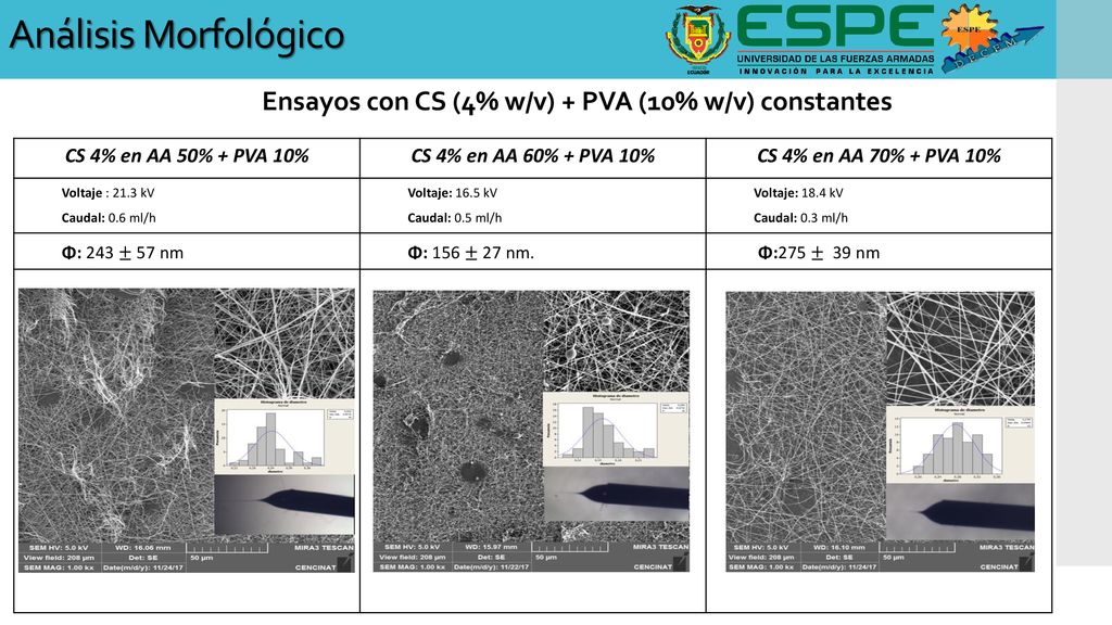 Ensayos con CS (4% w/v) + PVA (10% w/v) constantes