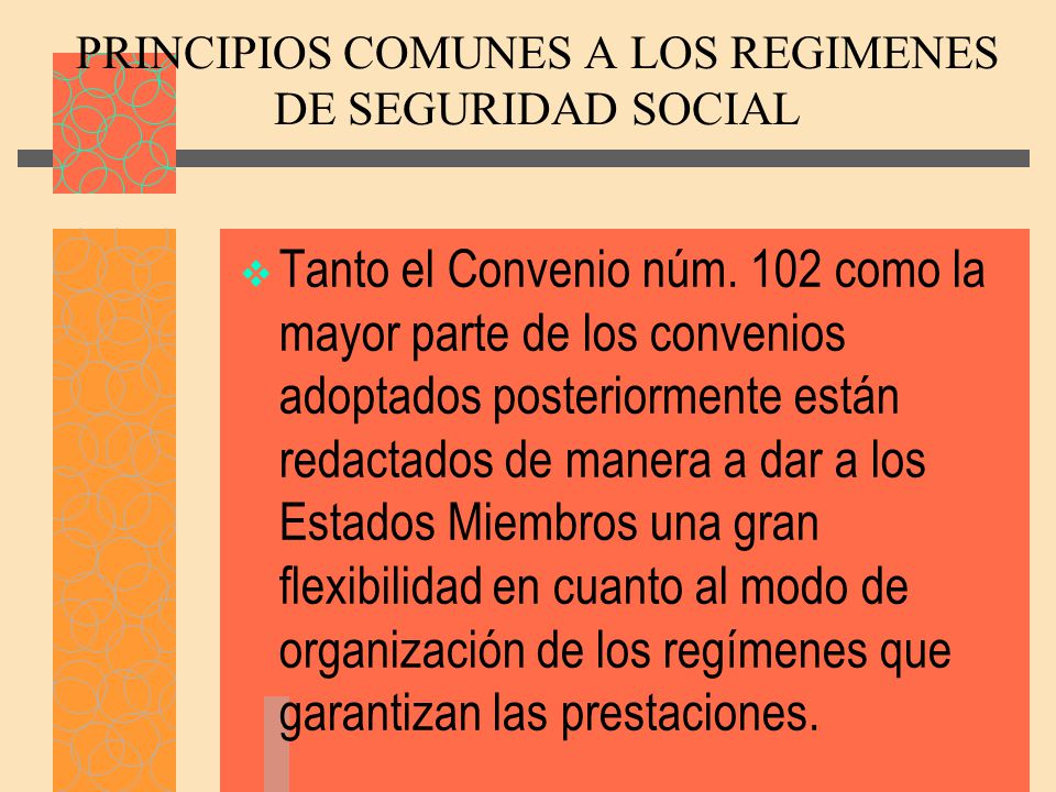 PRINCIPIOS COMUNES A LOS REGIMENES DE SEGURIDAD SOCIAL
