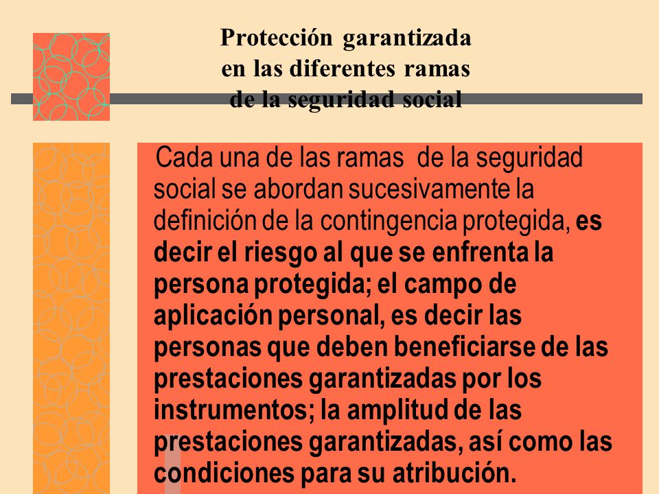 Protección garantizada en las diferentes ramas de la seguridad social