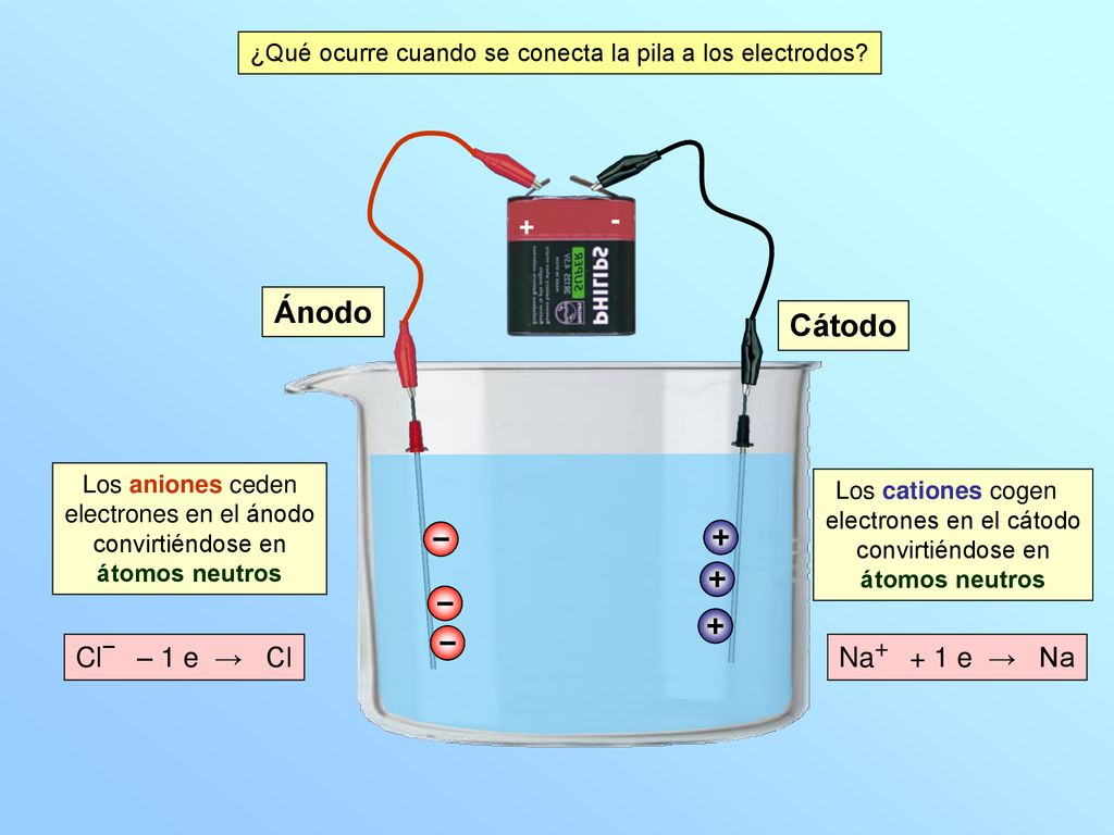 Ánodo Cátodo + - Cl− – 1 e → Cl Na+ + 1 e → Na