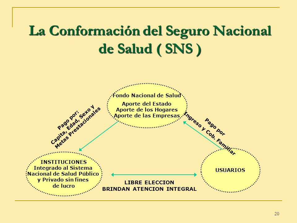 La Conformación del Seguro Nacional de Salud ( SNS )