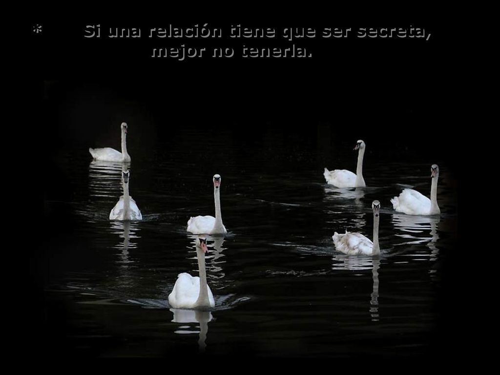 * Si una relación tiene que ser secreta, mejor no tenerla.