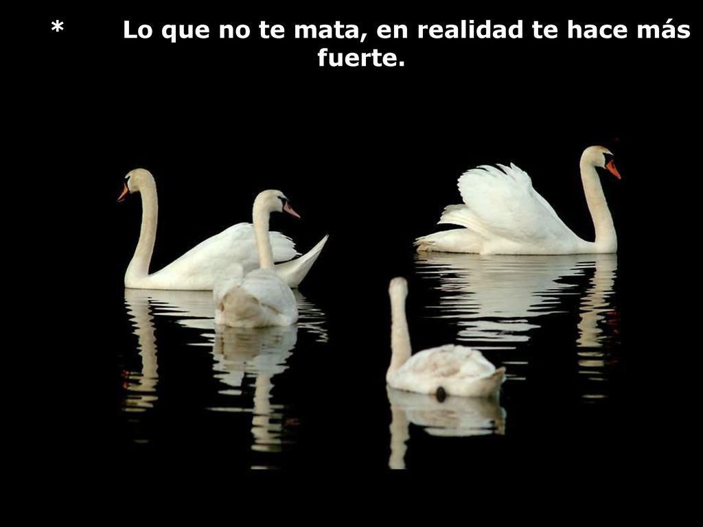 * Lo que no te mata, en realidad te hace más fuerte.