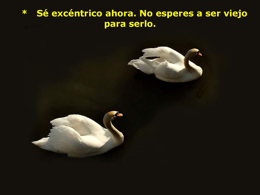 * Sé excéntrico ahora. No esperes a ser viejo para serlo.