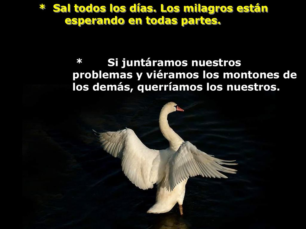 * Sal todos los días. Los milagros están esperando en todas partes.