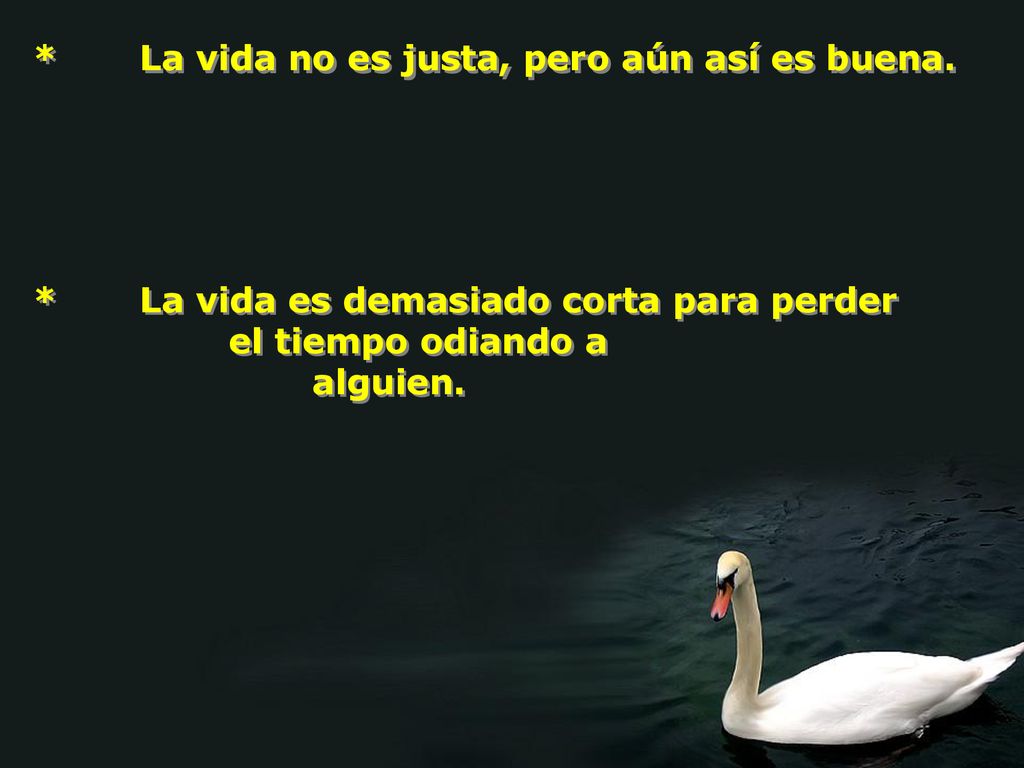 * La vida no es justa, pero aún así es buena.