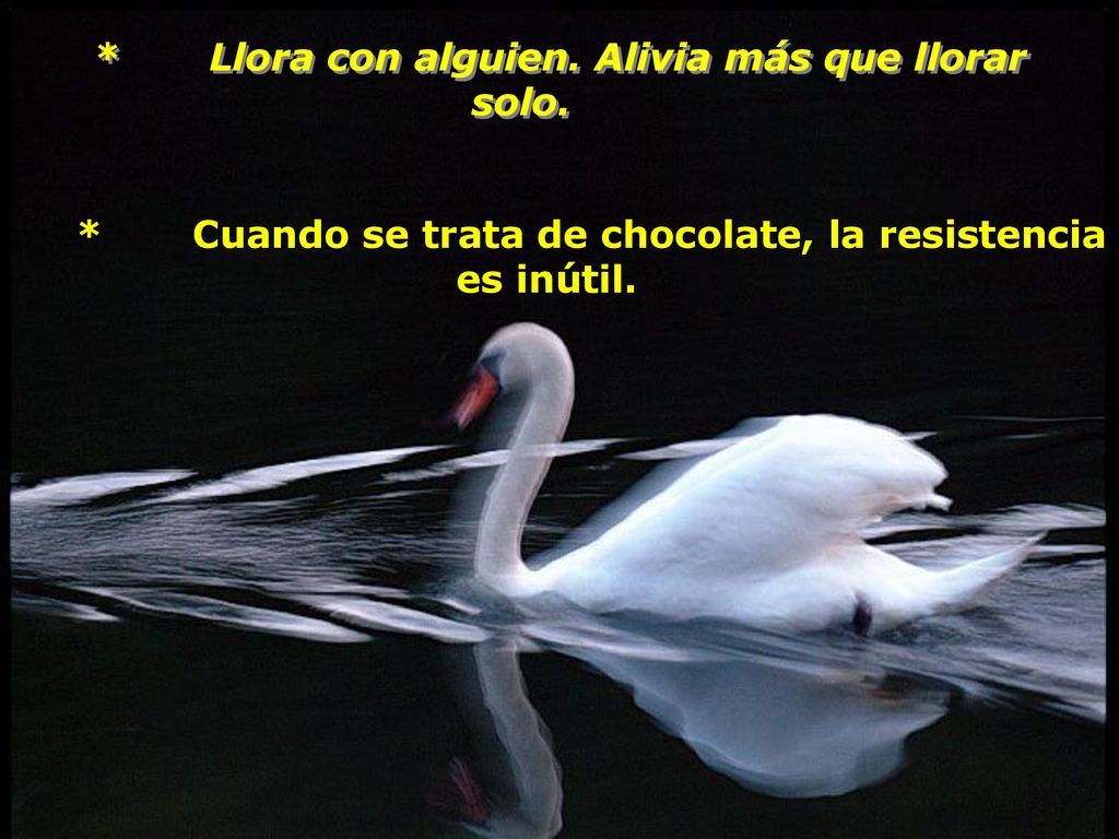 * Llora con alguien. Alivia más que llorar solo.