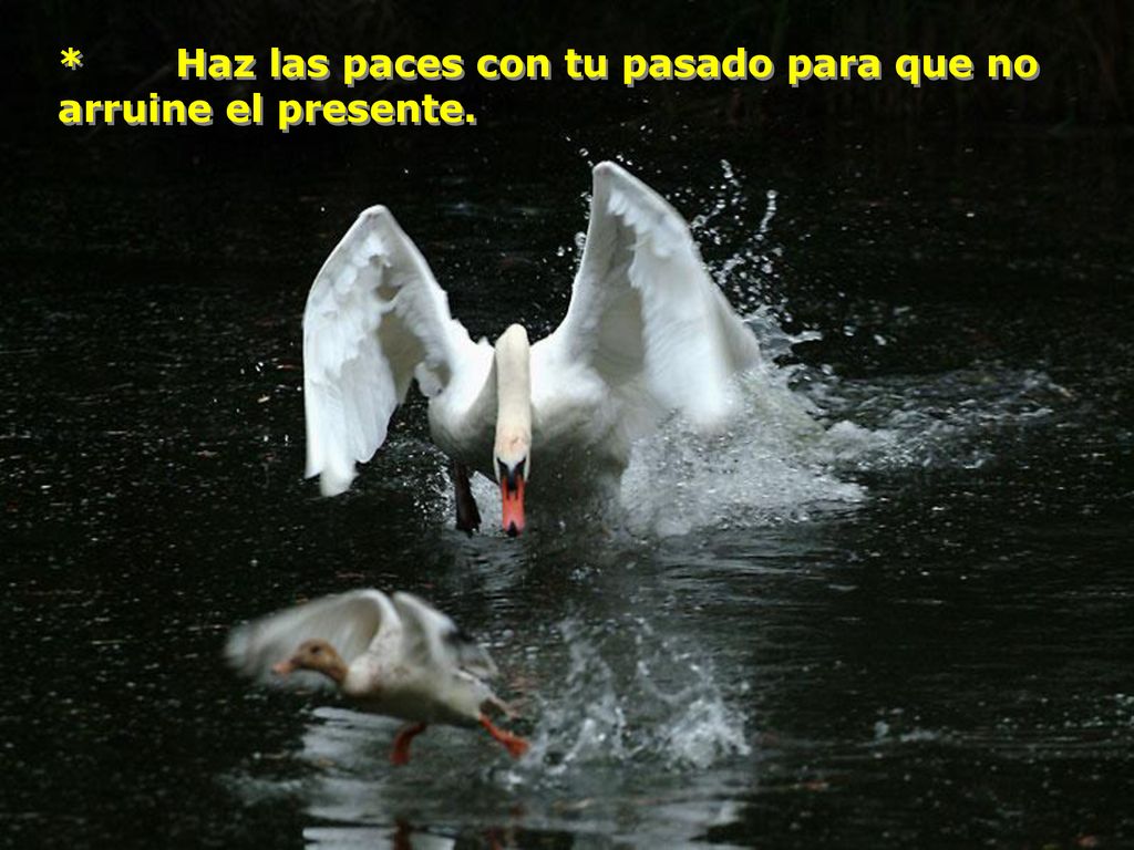 * Haz las paces con tu pasado para que no arruine el presente.