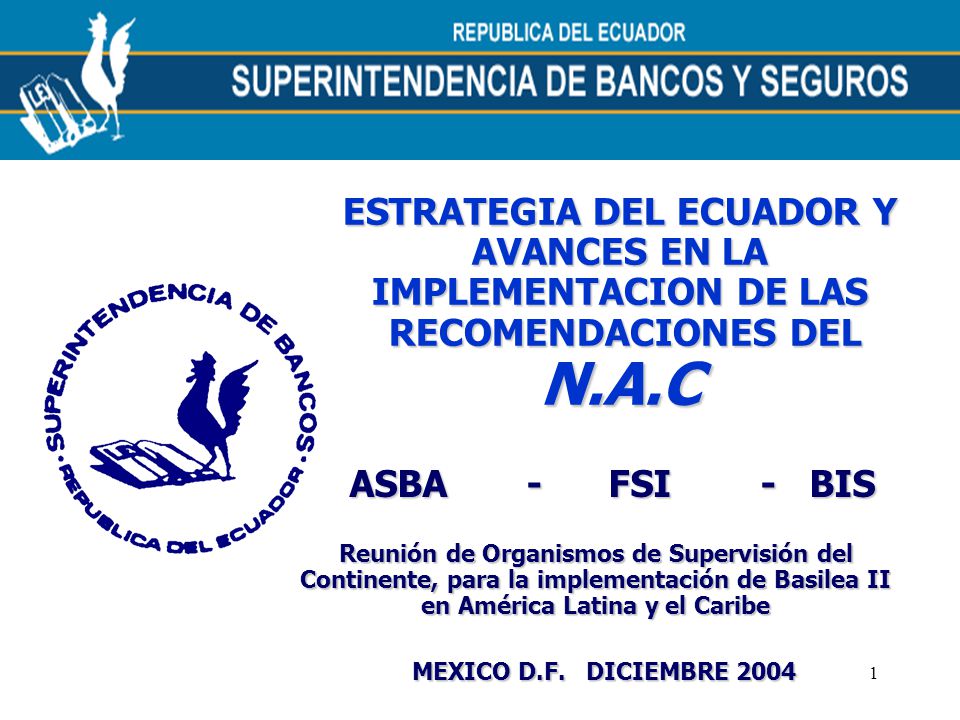 ESTRATEGIA DEL ECUADOR Y AVANCES EN LA IMPLEMENTACION DE LAS