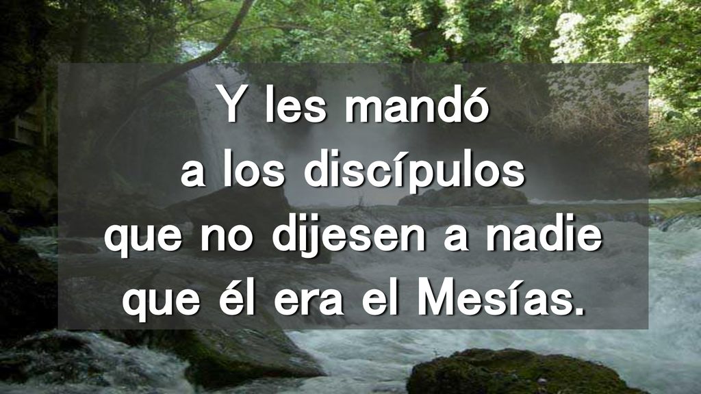 Y les mandó a los discípulos que no dijesen a nadie que él era el Mesías.