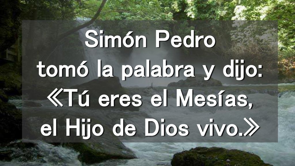 Simón Pedro tomó la palabra y dijo: «Tú eres el Mesías, el Hijo de Dios vivo.»