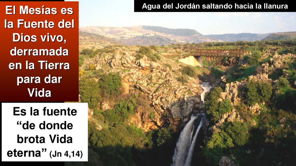 Es la fuente de donde brota Vida eterna (Jn 4,14)