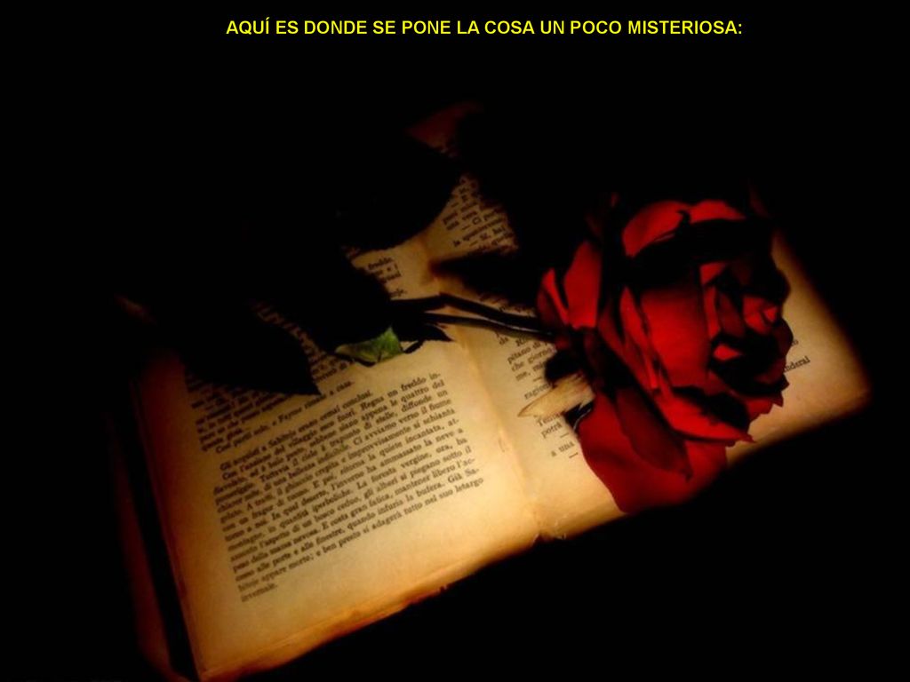 AQUÍ ES DONDE SE PONE LA COSA UN POCO MISTERIOSA:
