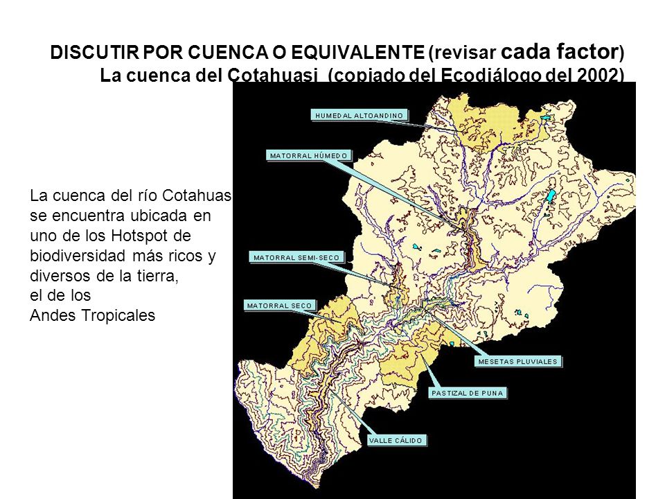 DISCUTIR POR CUENCA O EQUIVALENTE (revisar cada factor) La cuenca del Cotahuasi (copiado del Ecodiálogo del 2002)