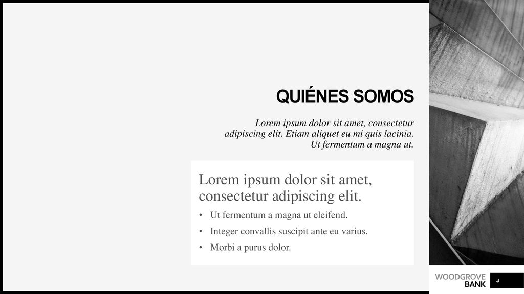 Quiénes somos Lorem ipsum dolor sit amet, consectetur adipiscing elit.