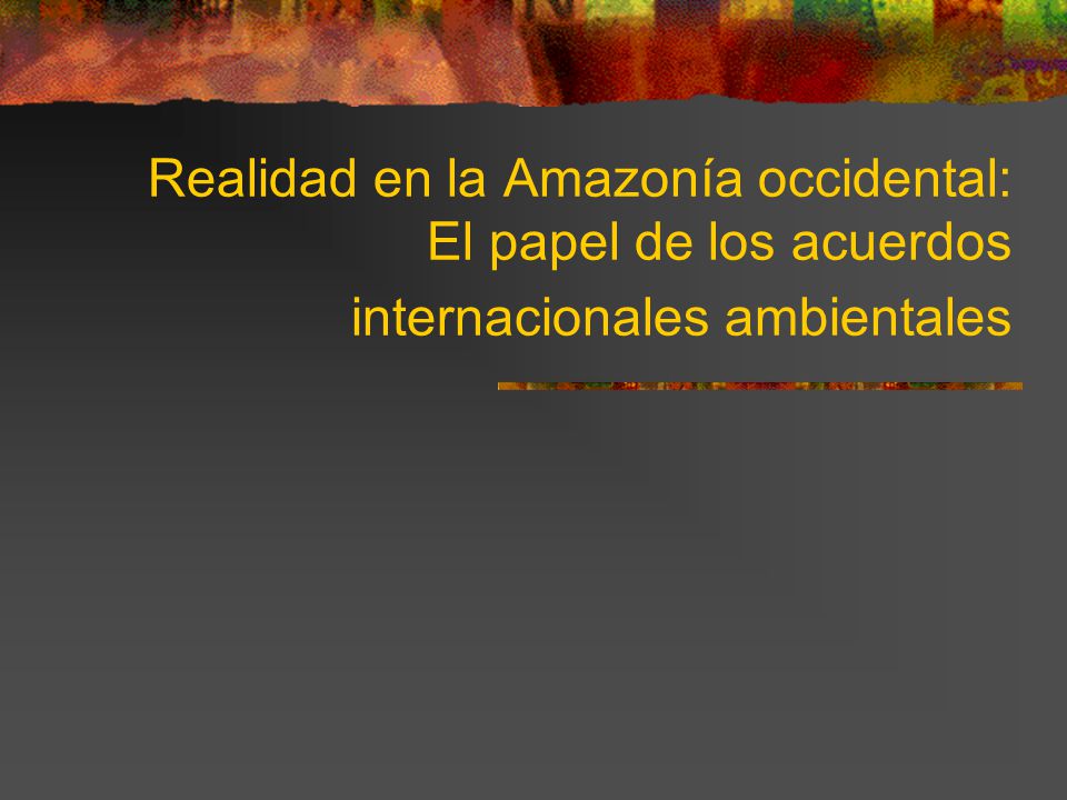 Realidad en la Amazonía occidental: El papel de los acuerdos internacionales ambientales