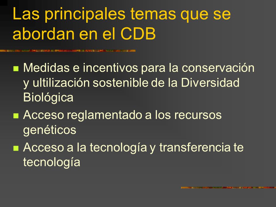 Las principales temas que se abordan en el CDB