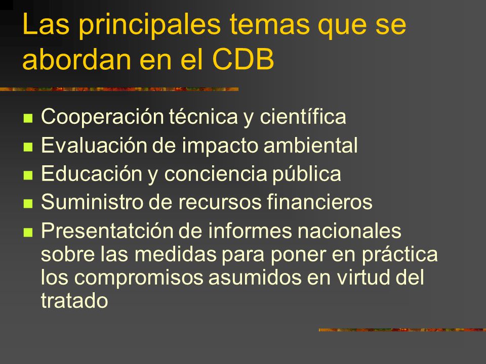 Las principales temas que se abordan en el CDB
