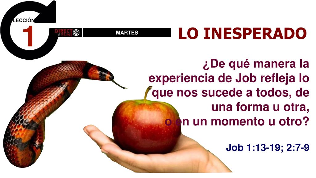 1 LO INESPERADO. MARTES. ¿De qué manera la experiencia de Job refleja lo que nos sucede a todos, de una forma u otra,