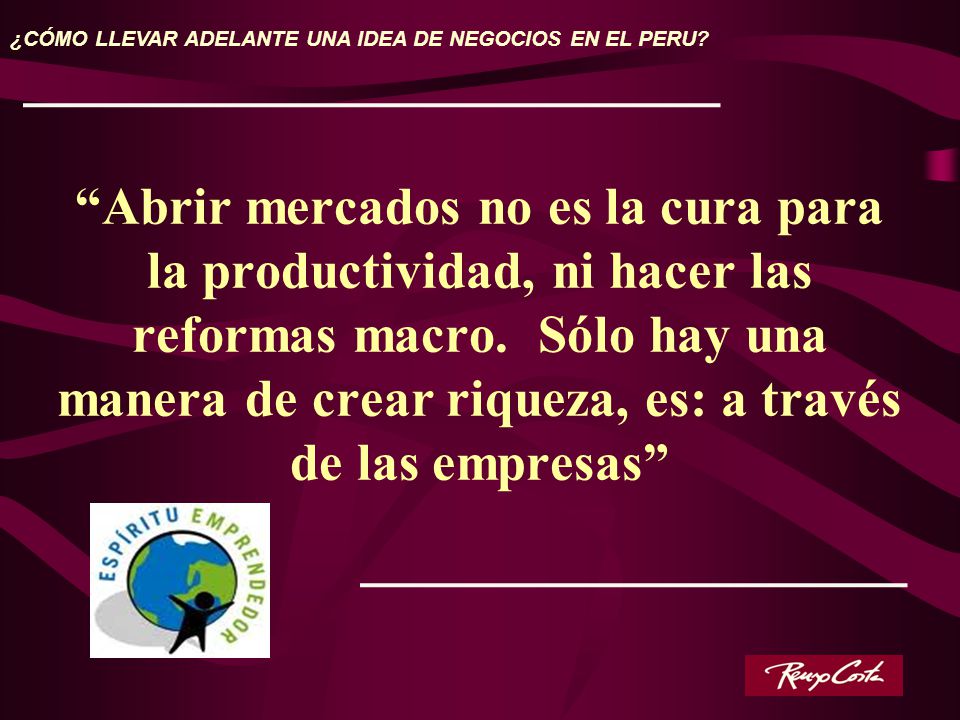 ¿CÓMO LLEVAR ADELANTE UNA IDEA DE NEGOCIOS EN EL PERU