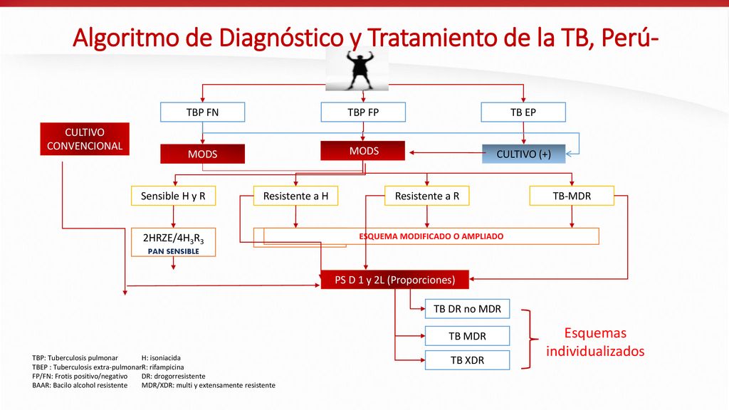 Algoritmo de Diagnóstico y Tratamiento de la TB, Perú-