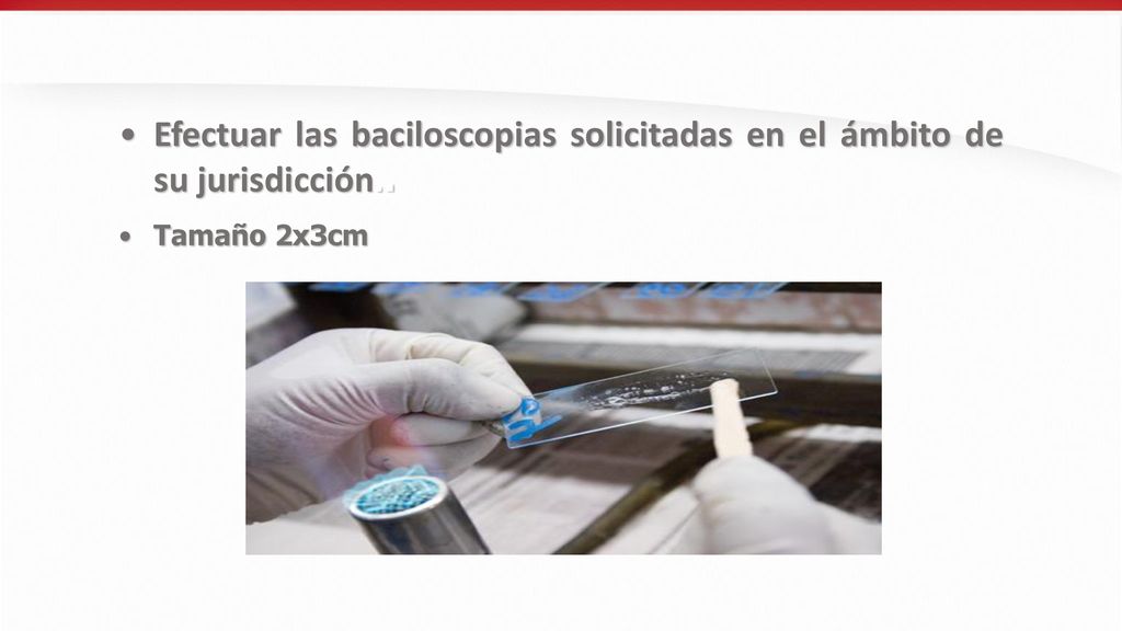 Efectuar las baciloscopias solicitadas en el ámbito de su jurisdicción..