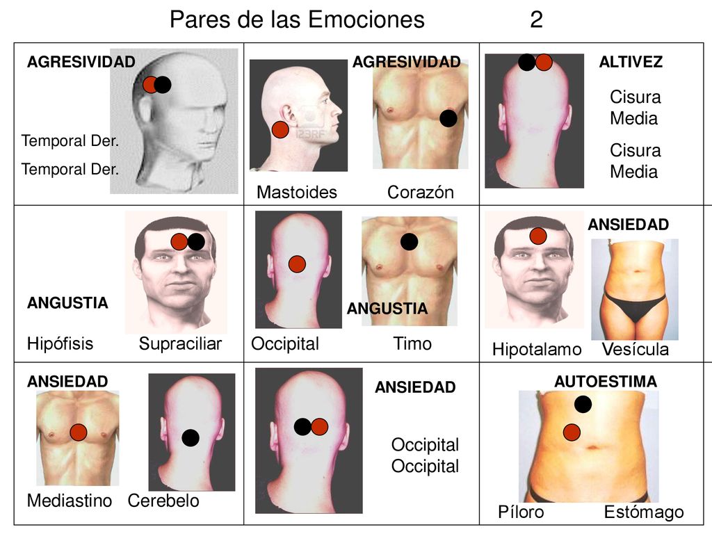 Pares de las Emociones 2 Cisura Media Mastoides Corazón