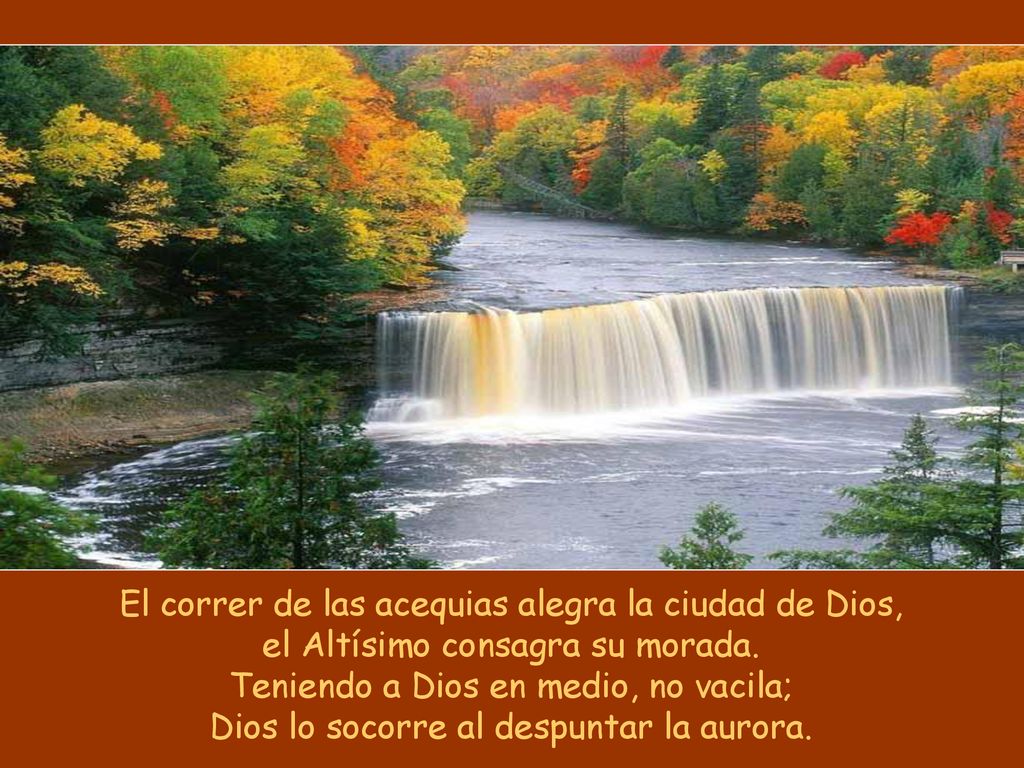 El correr de las acequias alegra la ciudad de Dios, el Altísimo consagra su morada.