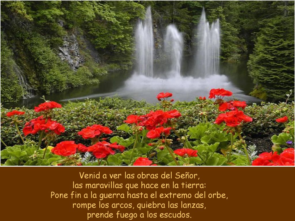Venid a ver las obras del Señor, las maravillas que hace en la tierra: Pone fin a la guerra hasta el extremo del orbe, rompe los arcos, quiebra las lanzas, prende fuego a los escudos.