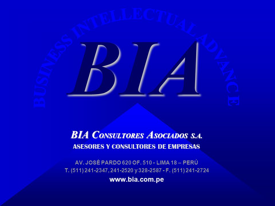 BIA BIA CONSULTORES ASOCIADOS S.A. ASESORES Y CONSULTORES DE EMPRESAS