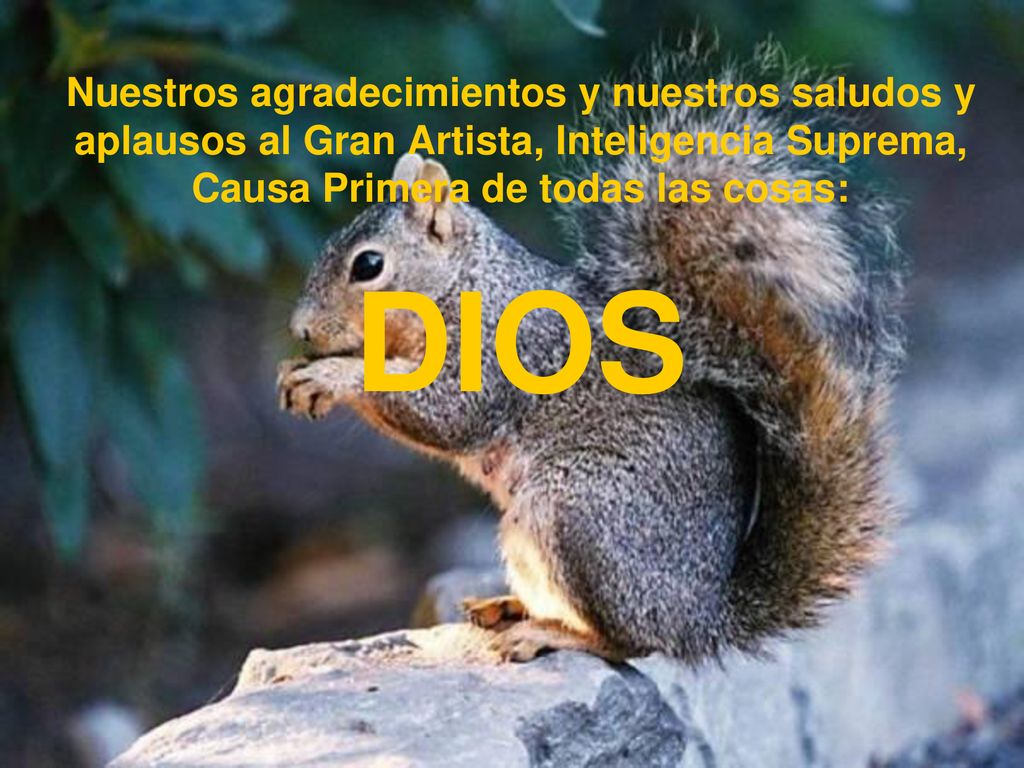 Nuestros agradecimientos y nuestros saludos y aplausos al Gran Artista, Inteligencia Suprema, Causa Primera de todas las cosas: DIOS