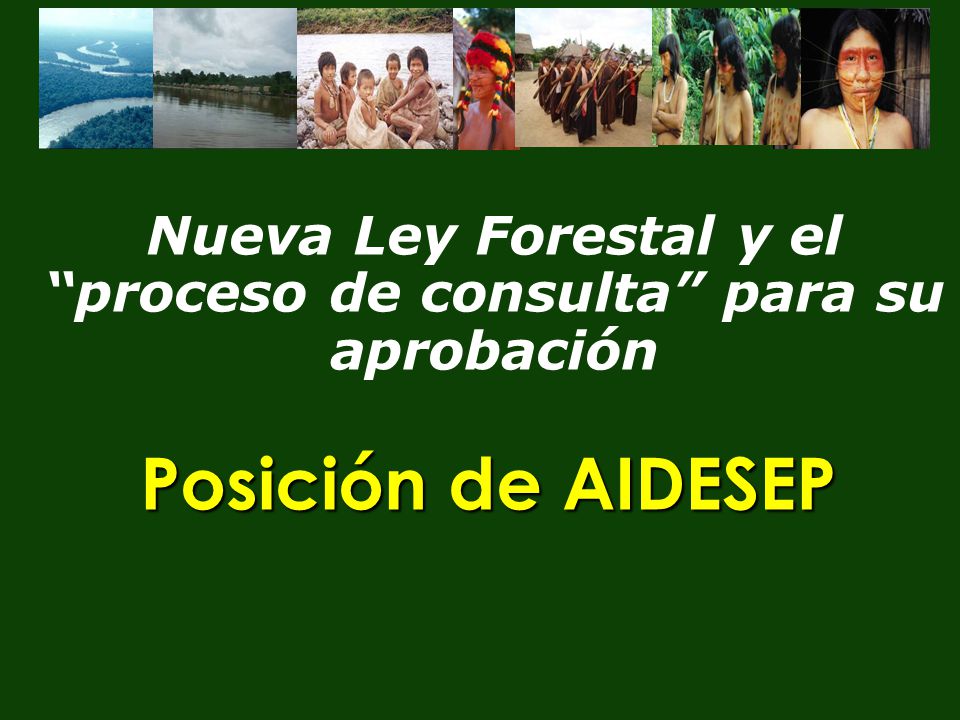 Nueva Ley Forestal y el proceso de consulta para su aprobación
