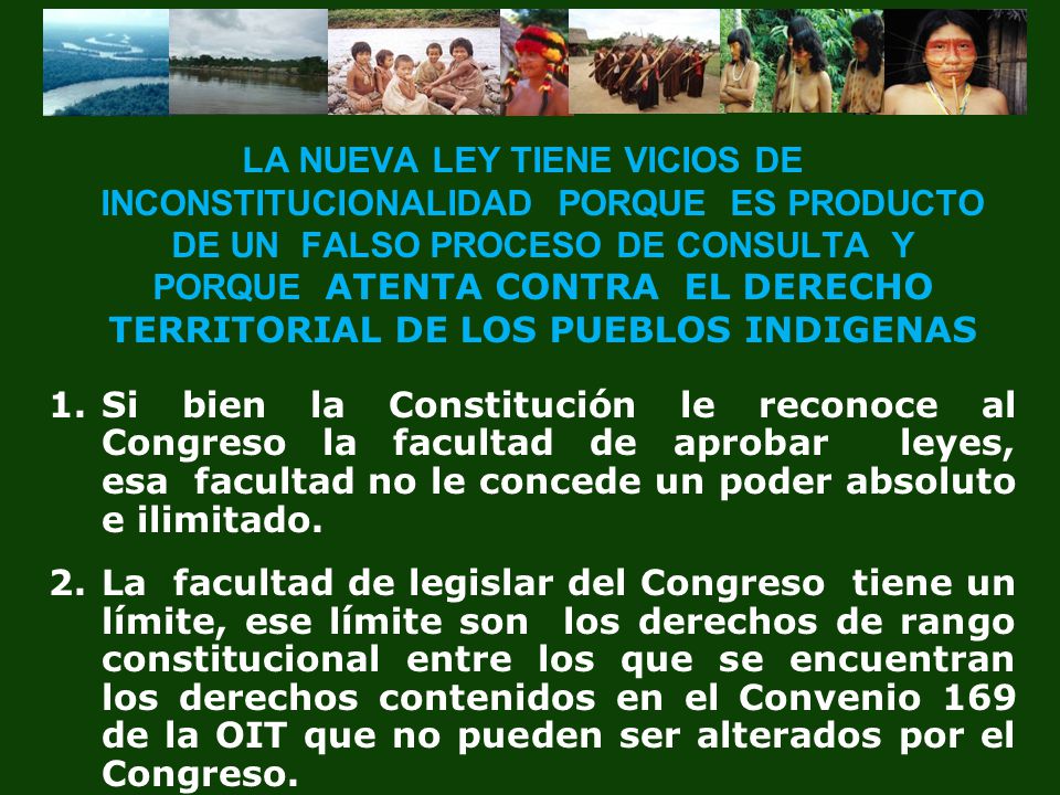 LA NUEVA LEY TIENE VICIOS DE INCONSTITUCIONALIDAD PORQUE ES PRODUCTO DE UN FALSO PROCESO DE CONSULTA Y PORQUE ATENTA CONTRA EL DERECHO TERRITORIAL DE LOS PUEBLOS INDIGENAS