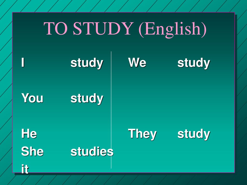 TO STUDY (English) I study You study He She studies it We study