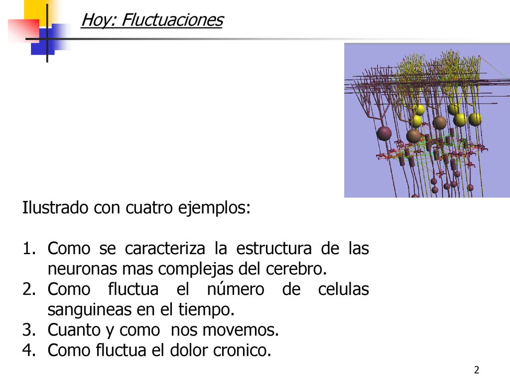 Hoy: Fluctuaciones Ilustrado con cuatro ejemplos: Como se caracteriza la estructura de las neuronas mas complejas del cerebro.