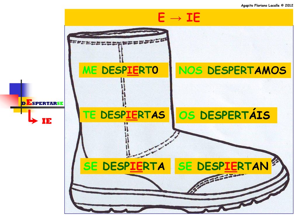 E → IE OS DESPERTÁIS SE DESPIERTA SE DESPIERTAN NOS DESPERTAMOS
