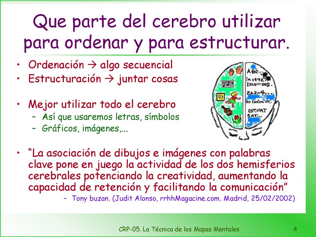 Que parte del cerebro utilizar para ordenar y para estructurar.