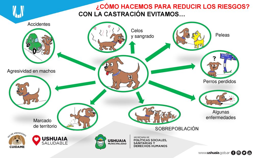 ¿CÓMO HACEMOS PARA REDUCIR LOS RIESGOS CON LA CASTRACIÓN EVITAMOS…