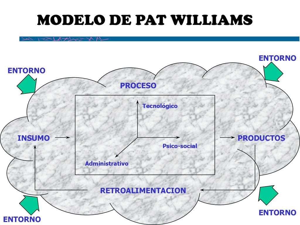 MODELO DE PAT WILLIAMS ENTORNO ENTORNO PROCESO INSUMO PRODUCTOS