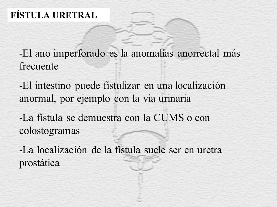 -El ano imperforado es la anomalías anorrectal más frecuente