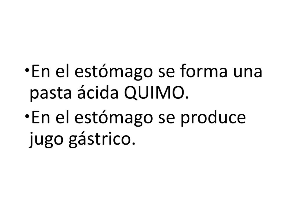 En el estómago se forma una pasta ácida QUIMO.