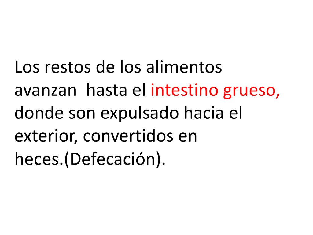 Los restos de los alimentos avanzan hasta el intestino grueso, donde son expulsado hacia el exterior, convertidos en heces.(Defecación).