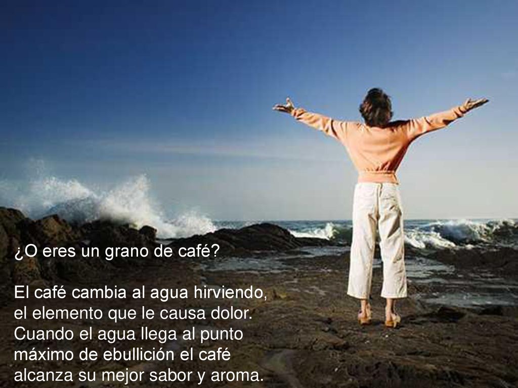 ¿O eres un grano de café El café cambia al agua hirviendo, el elemento que le causa dolor.
