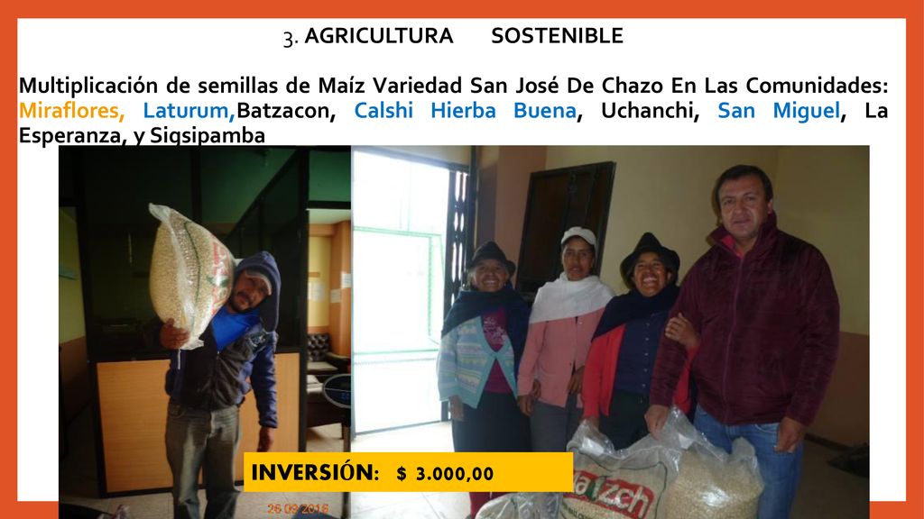 3. AGRICULTURA SOSTENIBLE Multiplicación de semillas de Maíz Variedad San José De Chazo En Las Comunidades: Miraflores, Laturum,Batzacon, Calshi Hierba Buena, Uchanchi, San Miguel, La Esperanza, y Sigsipamba
