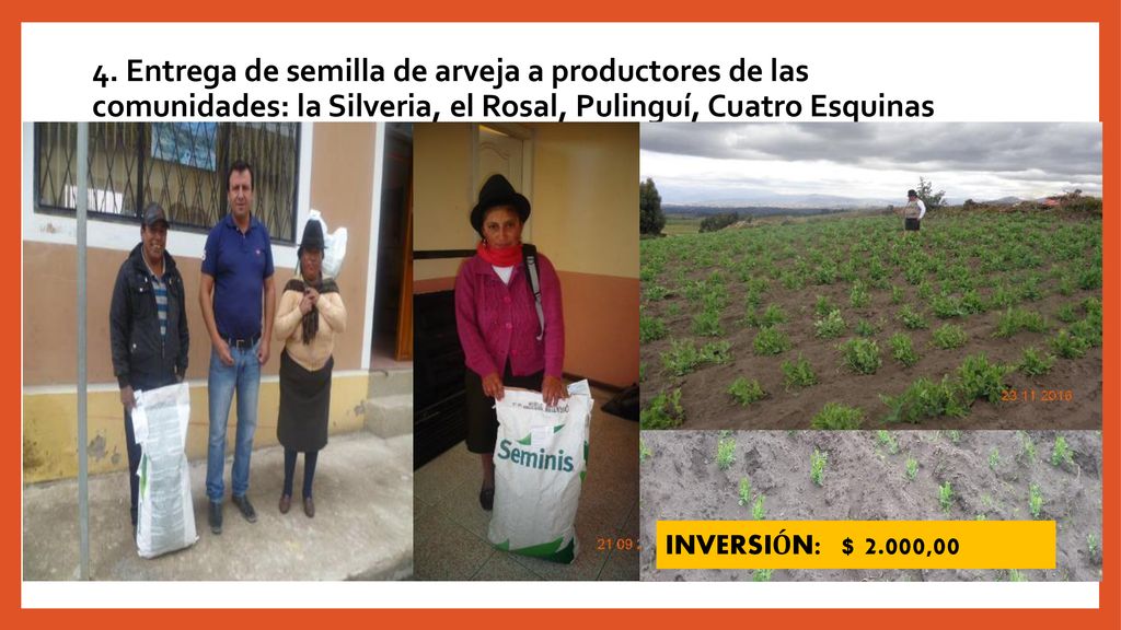 4. Entrega de semilla de arveja a productores de las comunidades: la Silveria, el Rosal, Pulinguí, Cuatro Esquinas