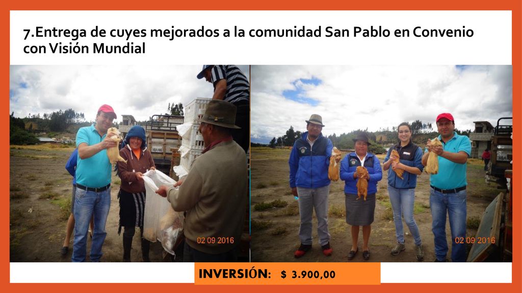 7.Entrega de cuyes mejorados a la comunidad San Pablo en Convenio con Visión Mundial