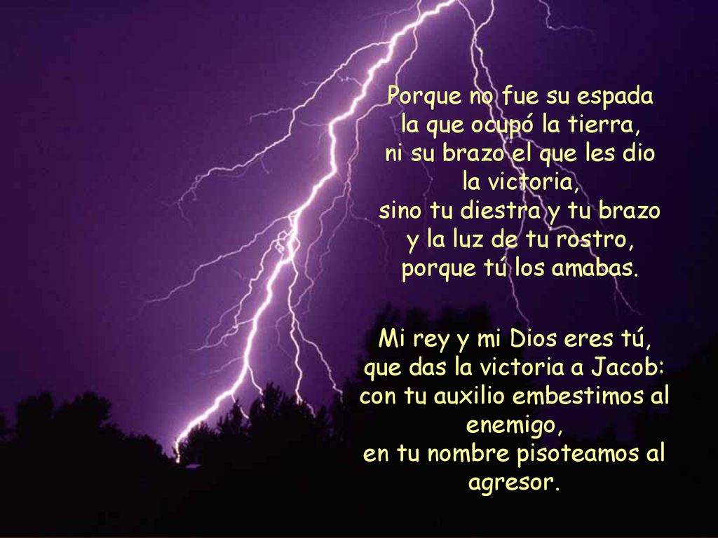 Porque no fue su espada la que ocupó la tierra, ni su brazo el que les dio la victoria, sino tu diestra y tu brazo y la luz de tu rostro, porque tú los amabas.
