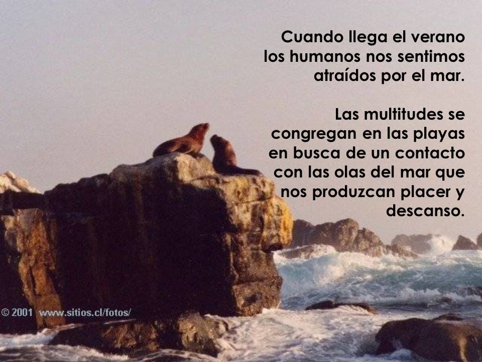 Cuando llega el verano los humanos nos sentimos atraídos por el mar.